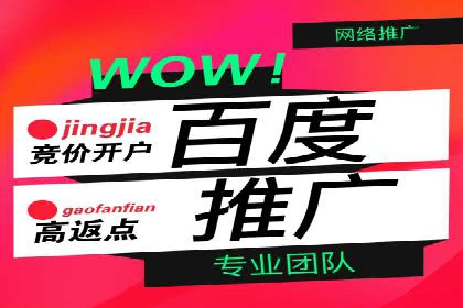 案例解析：SEM竞价专员成功案例
